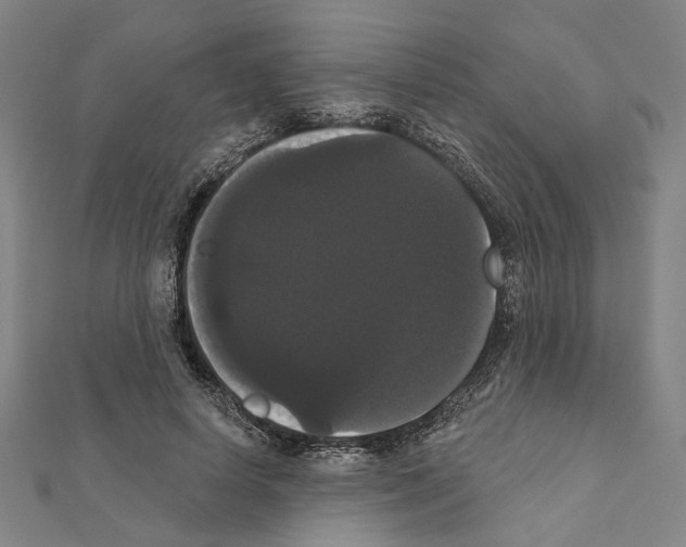 X0000111440642200908241145