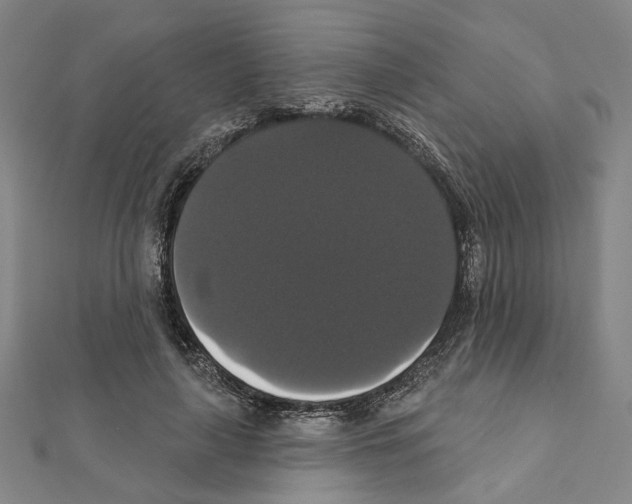 X0000111440643200908241145