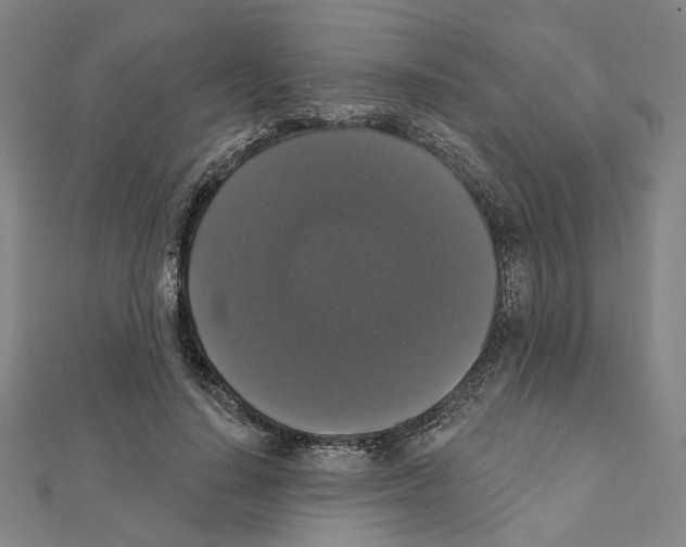X0000111440644200908241145