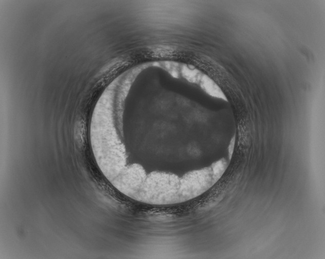 X0000111440648200908241145