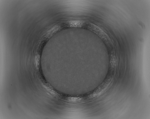 X0000111440649200908241145