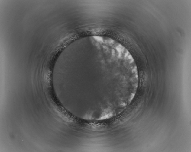 X0000111440650200908241145