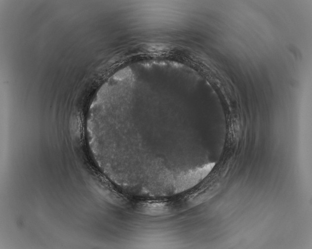 X0000111440651200908241145