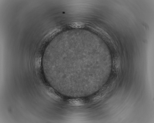 X0000111440652200908241145
