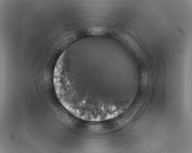 X0000111440653200908241145