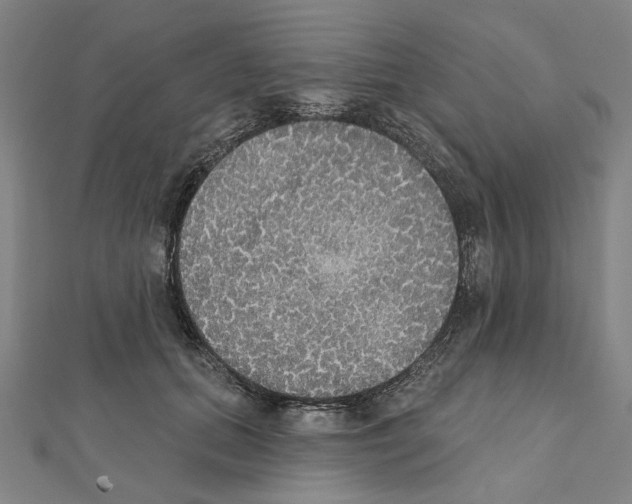 X0000111440655200908241145
