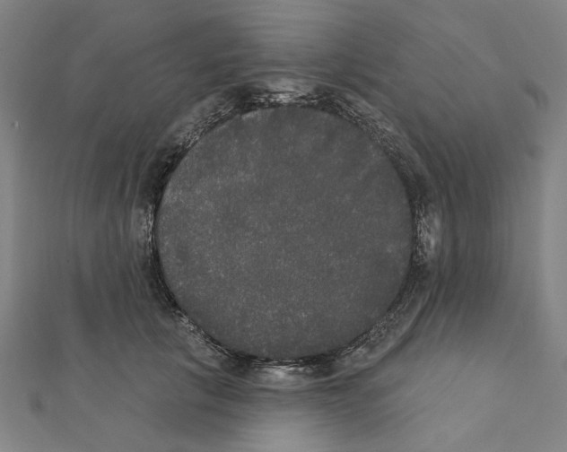 X0000111440657200908241145
