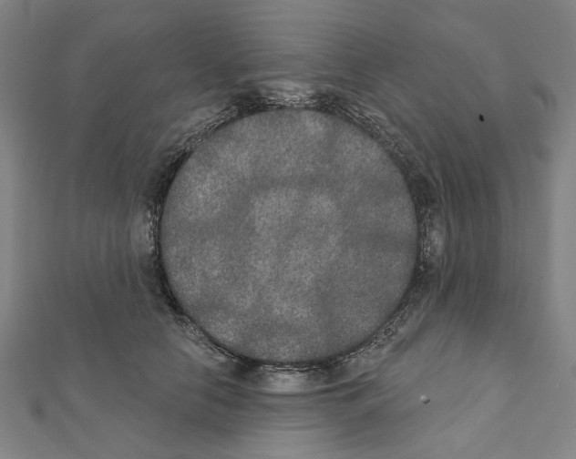 X0000111440658200908241145