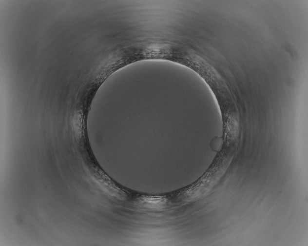 X0000111440659200908241145
