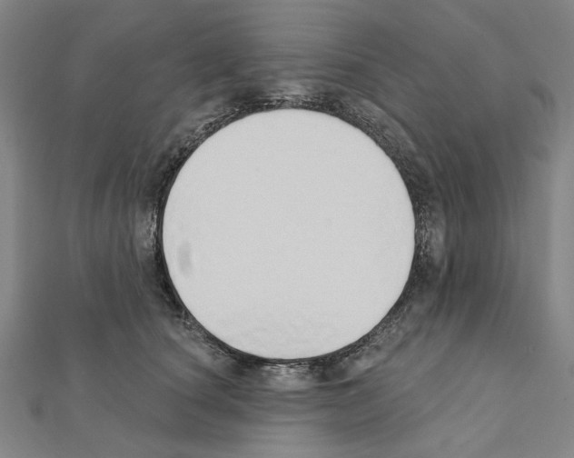 X0000111440660200908241145
