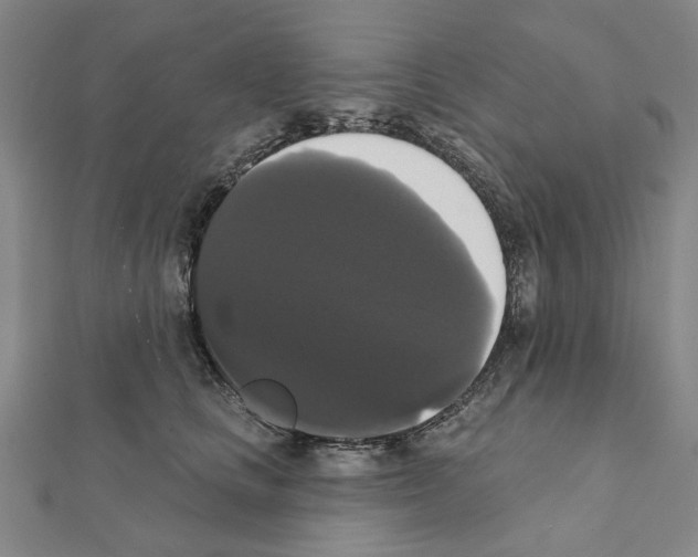 X0000111440661200908241145