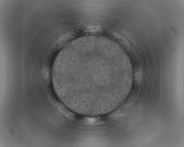 X0000111440662200908241145
