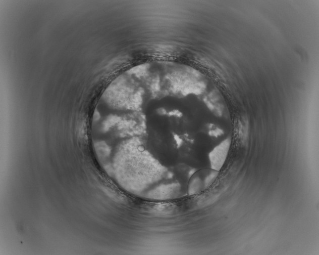 X0000111440663200908241145
