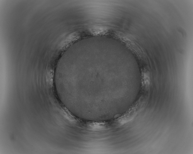 X0000111440664200908241145