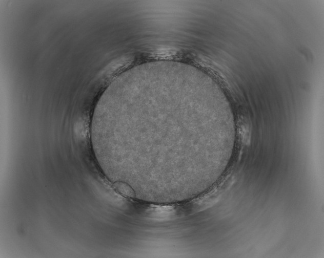 X0000111440665200908241145