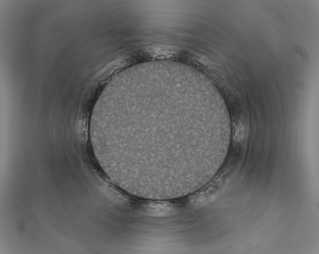 X0000111440666200908241145