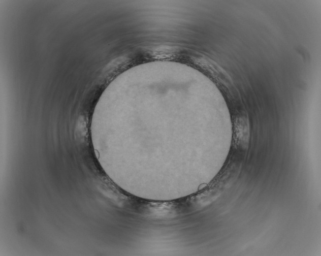 X0000111440667200908241145
