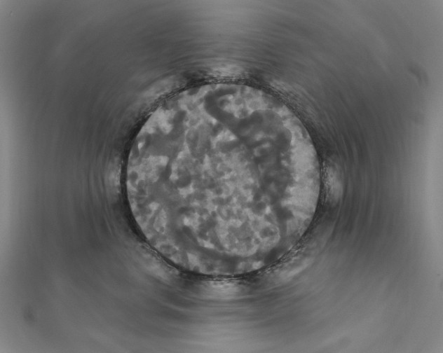 X0000111440668200908241145