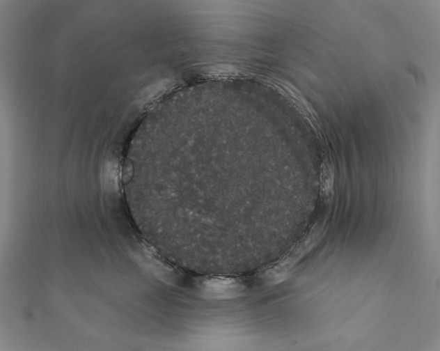X0000111440669200908241145