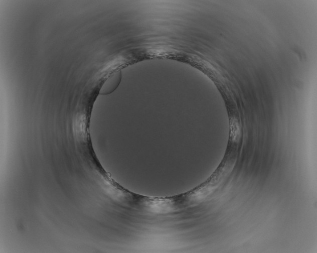 X0000111440670200908241145