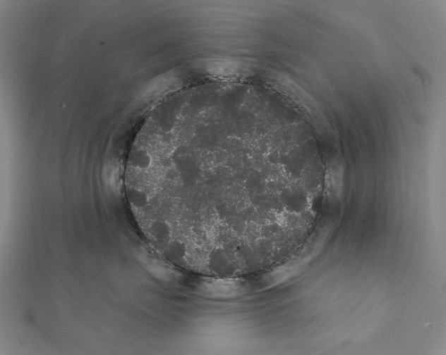 X0000111440671200908241145