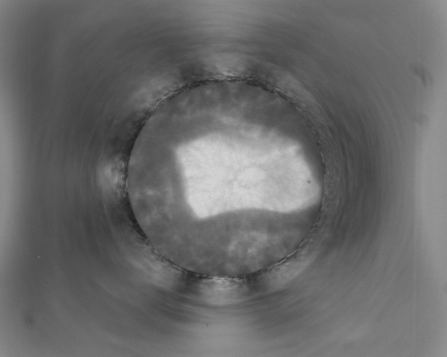 X0000111440672200908241145