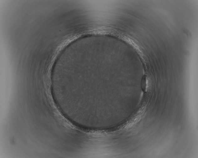 X0000111440673200908241144