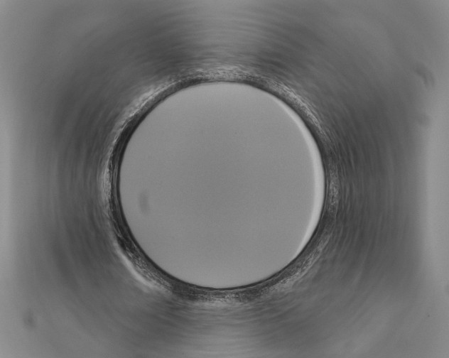 X0000111440674200908241144