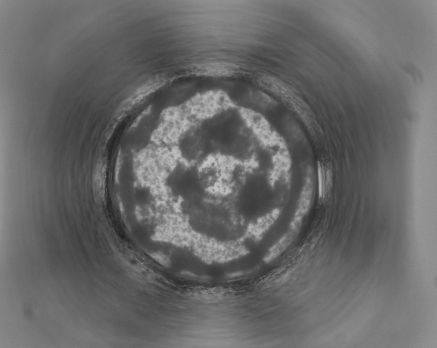 X0000111440675200908241144