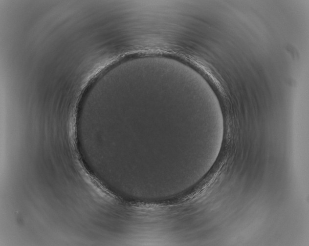 X0000111440677200908241144