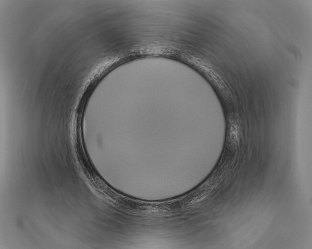 X0000111440678200908241144