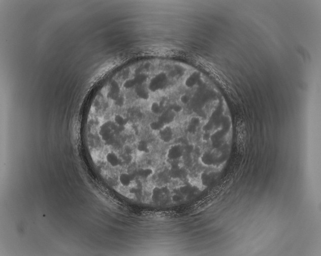 X0000111440679200908241144