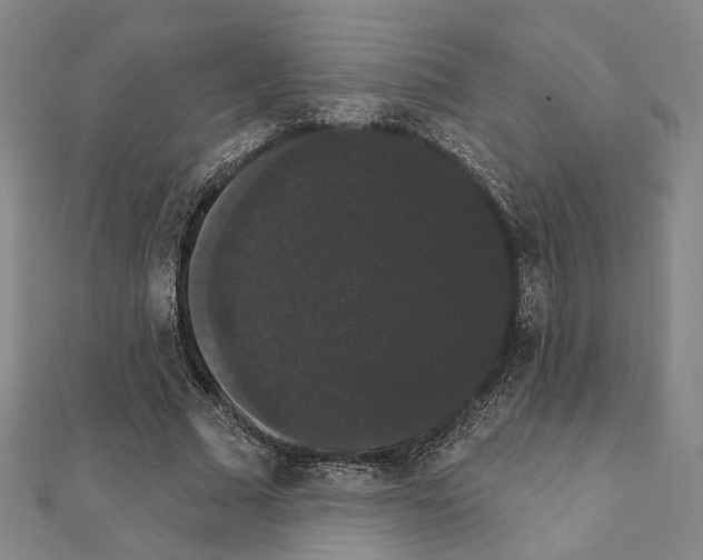 X0000111440681200908241144