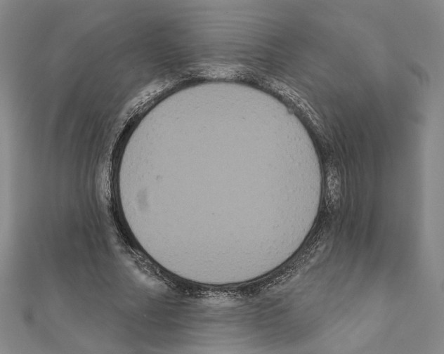 X0000111440682200908241144