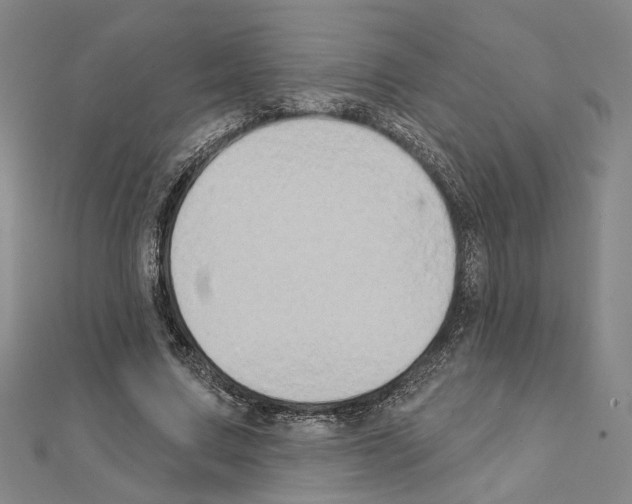X0000111440683200908241144