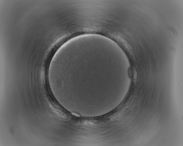 X0000111440684200908241144