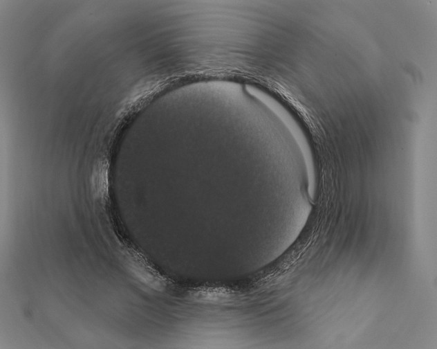 X0000111440685200908241144