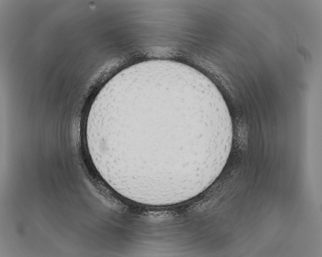 X0000111440686200908241144
