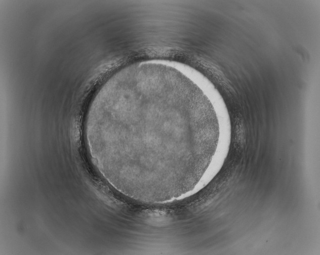 X0000111440687200908241144