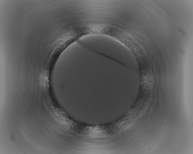 X0000111440688200908241144
