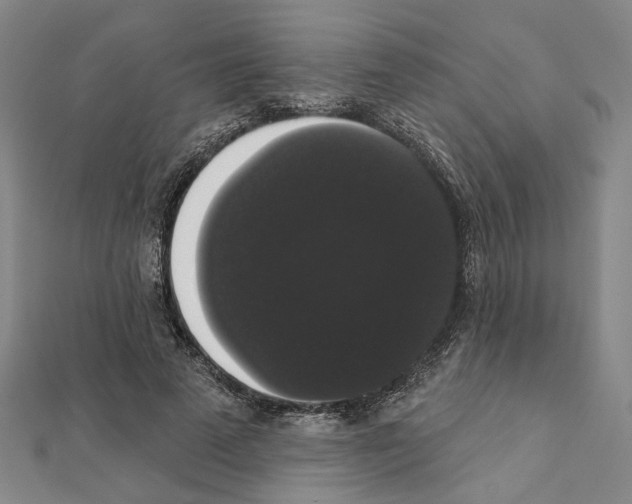X0000111440689200908241144