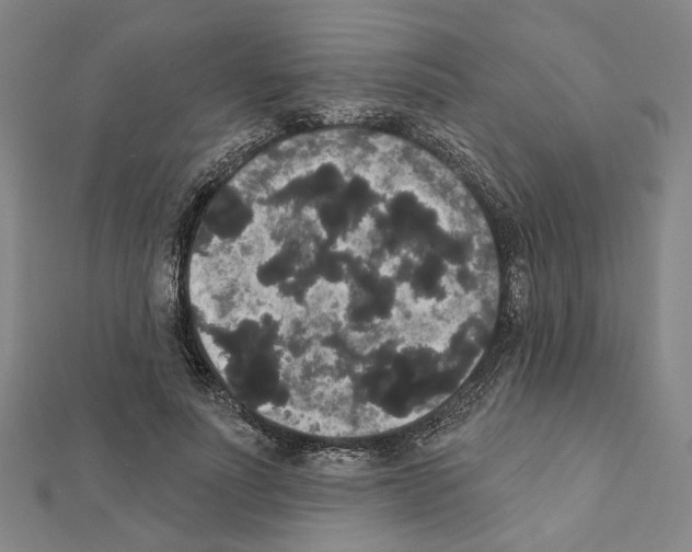 X0000111440691200908241144