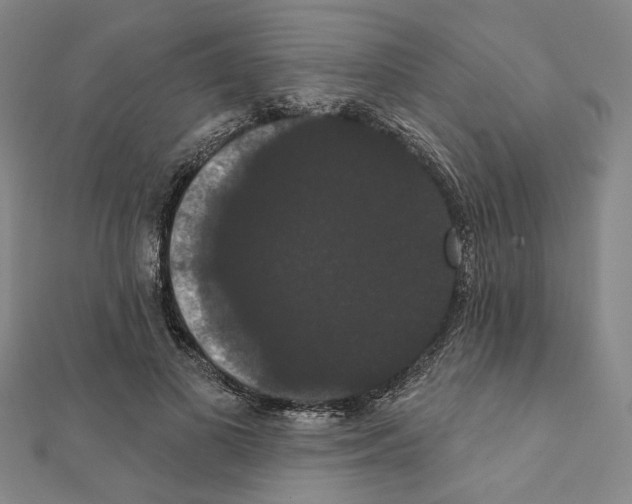 X0000111440693200908241144