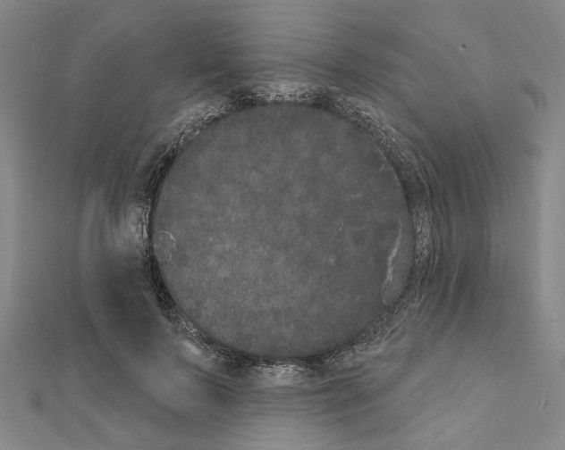X0000111440695200908241144