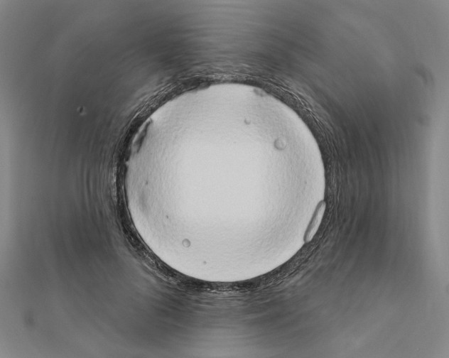 X0000111440696200908241144
