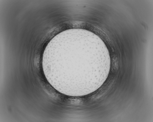 X0000111440698200908241144