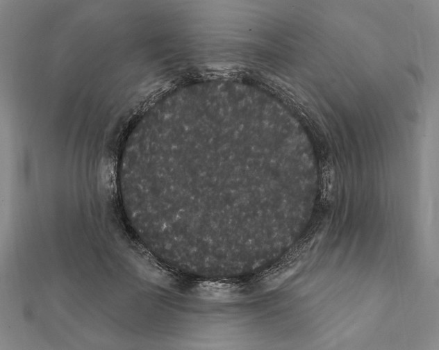 X0000111440699200908241144
