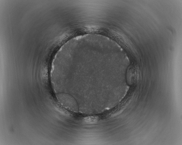 X0000111440700200908241144