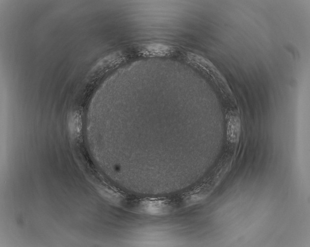 X0000111440701200908241144