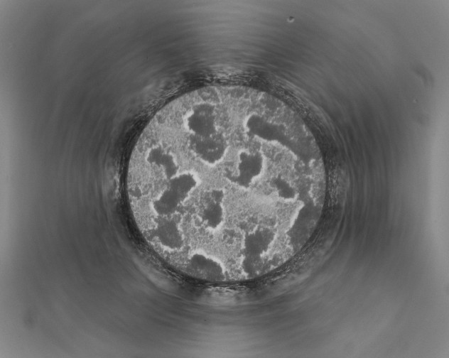 X0000111440703200908241144